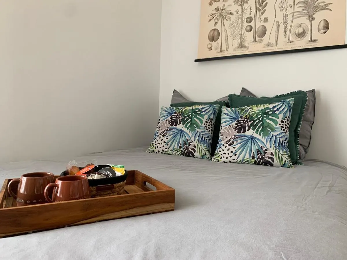 Le Petit Bali - Studio - WIFI - Parking - Coeur de ville Pont-lʼAbbé France